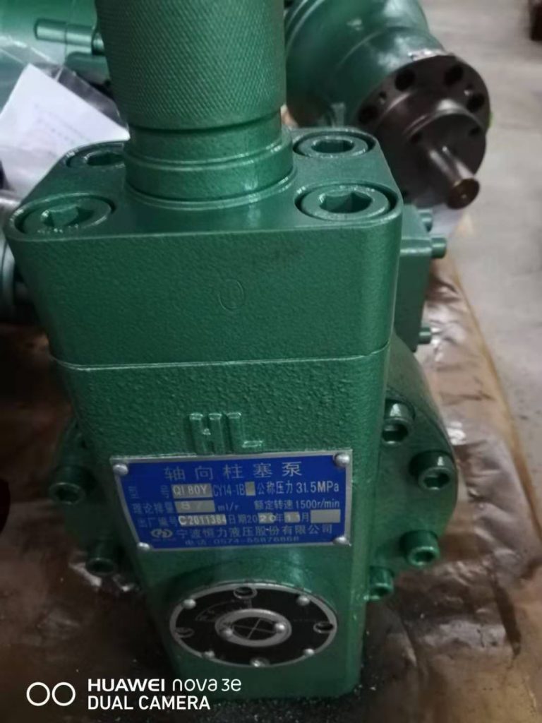 QL80YCY14-1BkF Axial Piston Pump 